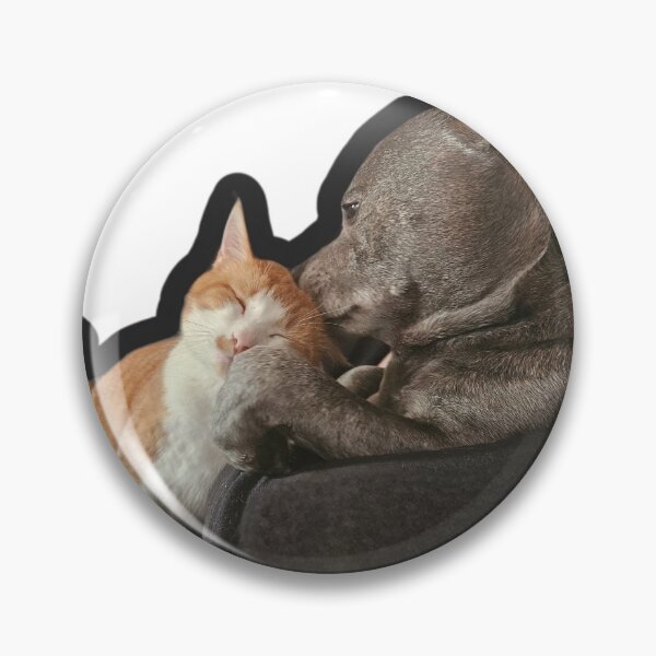 Item preview, Dog cleans cat designed and sold by DawnyClark.