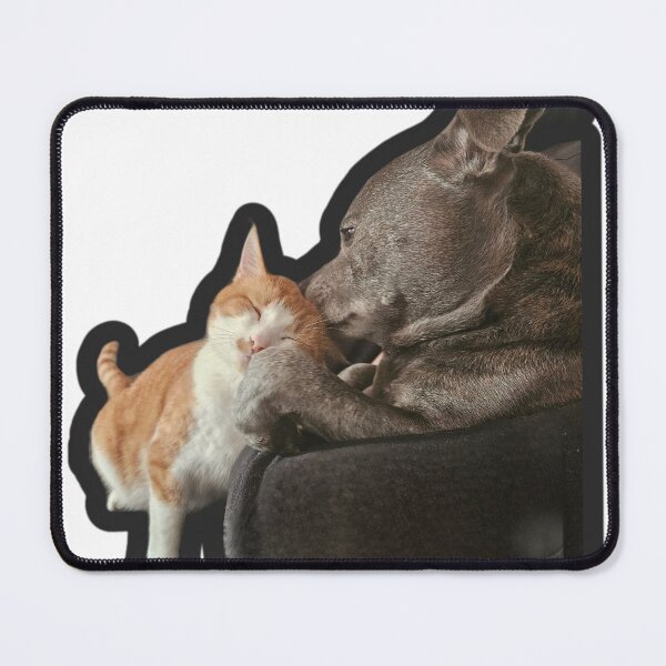 Item preview, Dog cleans cat designed and sold by DawnyClark.