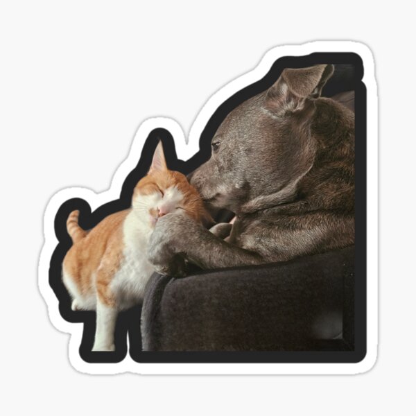 Item preview, Dog cleans cat designed and sold by DawnyClark.