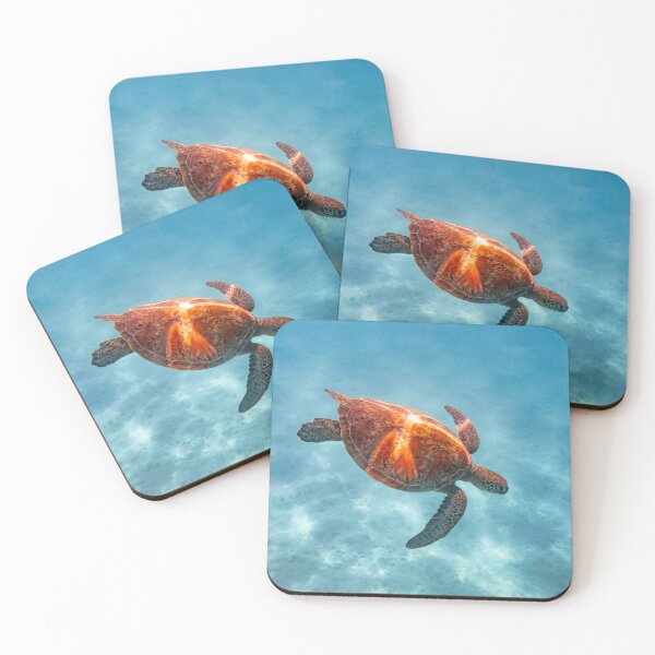 Item preview, A turtle of Heron Island designed and sold by slonchak.