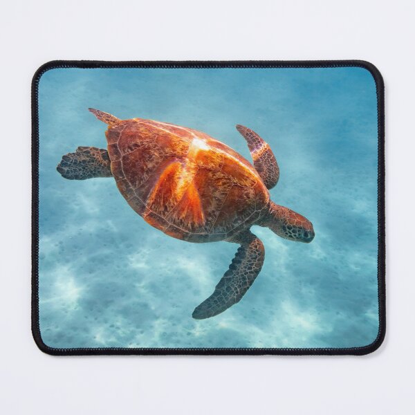 Item preview, A turtle of Heron Island designed and sold by slonchak.