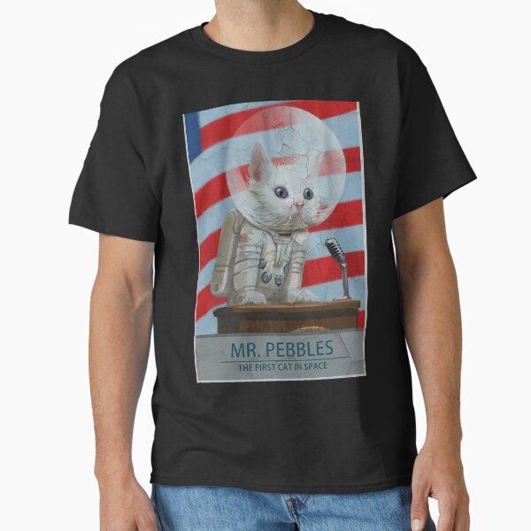 Vista previa del artículo con la obra «Póster Fo4 Mr Pebbles», diseñado y vendido por EndlessElegance.
