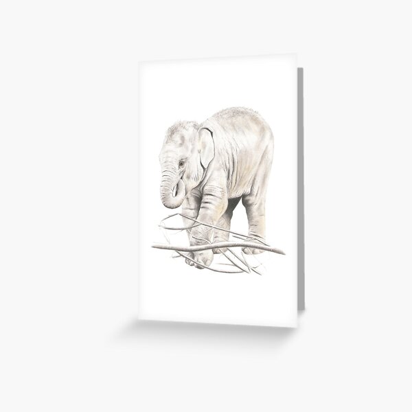 Elephant Calf Pencil Art Greeting Card
