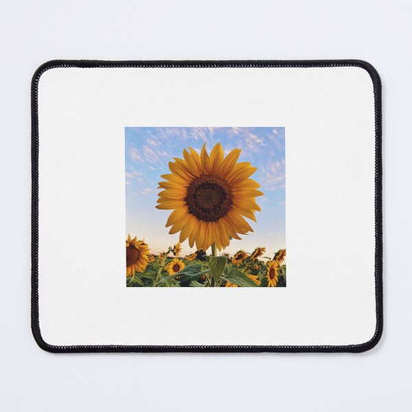 Item preview, Sunflower field with sunset designed and sold by Creative-zone06.