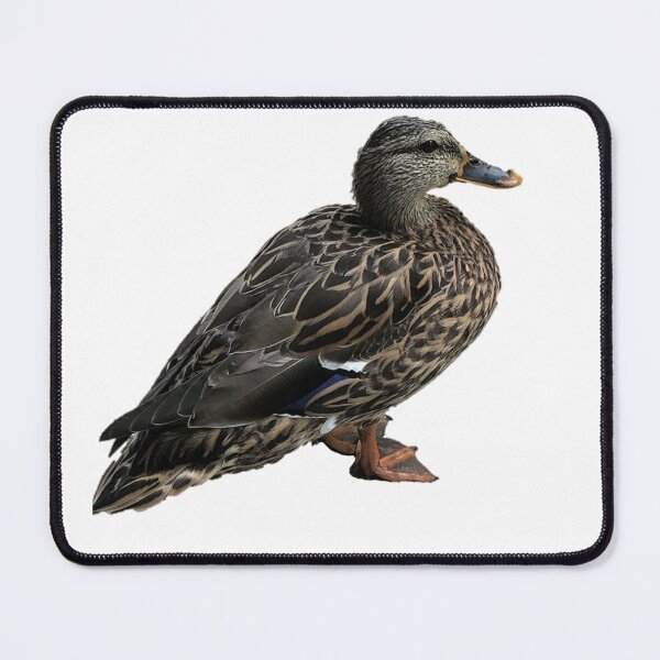 Item preview, Pretty Ducking Cute designed and sold by Inked Notebook.