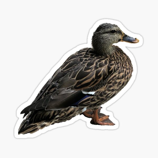 Item preview, Pretty Ducking Cute designed and sold by Inked Notebook.
