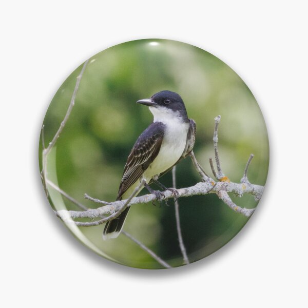 Item preview, Eastern Kingbird designed and sold by Now Loading....