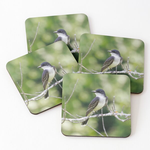 Item preview, Eastern Kingbird designed and sold by Now Loading....