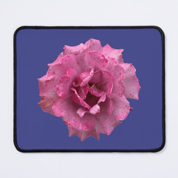 Item preview, Pink or Purple Speckled Rose on Royal Blue designed and sold by STHogan2.