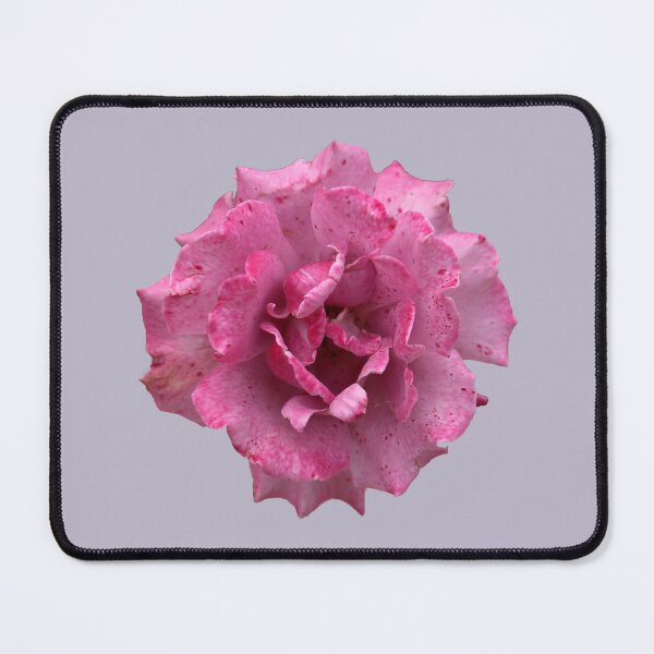 Item preview, Pink or Purple Speckled Rose on Pale Lilac designed and sold by STHogan2.