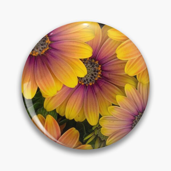 Item preview, Osteospermum Flowers in Full Bloom designed and sold by samutsariatbpa.
