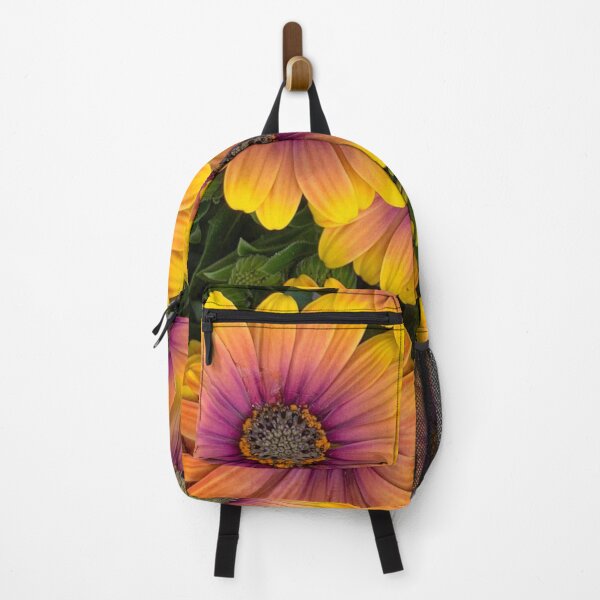 Item preview, Osteospermum Flowers in Full Bloom designed and sold by samutsariatbpa.