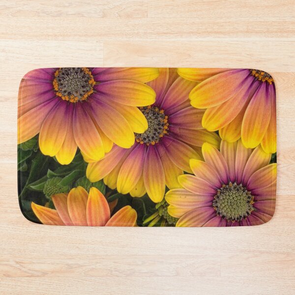 Item preview, Osteospermum Flowers in Full Bloom designed and sold by samutsariatbpa.