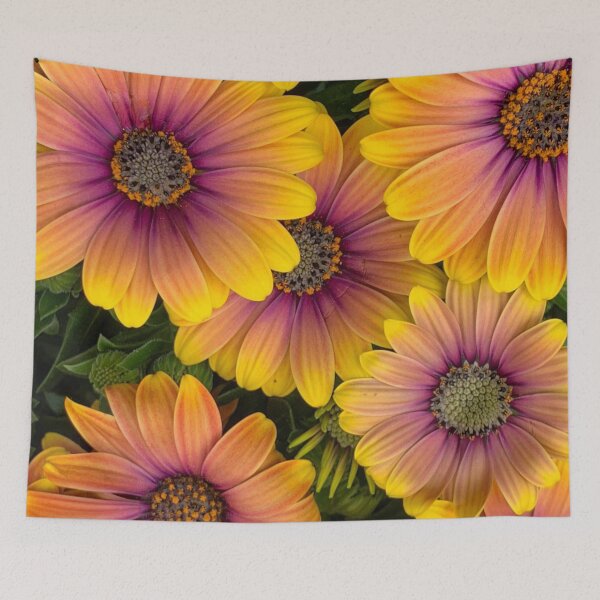 Item preview, Osteospermum Flowers in Full Bloom designed and sold by samutsariatbpa.