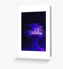 trousers sea Ocean trousers for women Greeting Card