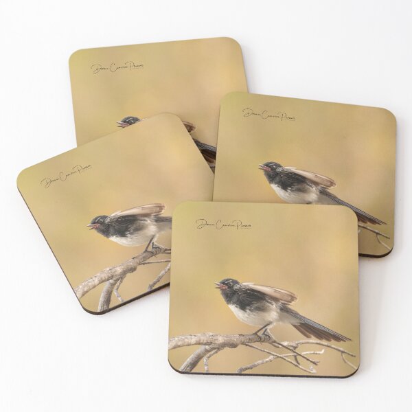 Item preview, Singing Willie Wagtail designed and sold by Donna Cameron-Prosser.