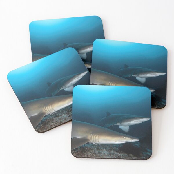 Item preview, Grey Nurse Sharks at North Stradbroke Island designed and sold by slonchak.