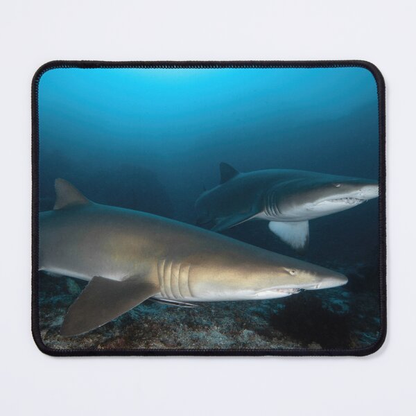 Item preview, Grey Nurse Sharks at North Stradbroke Island designed and sold by slonchak.