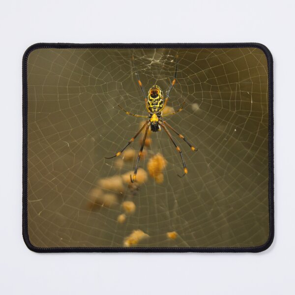 Item preview, Welcome To My House designed and sold by Donna Cameron-Prosser.