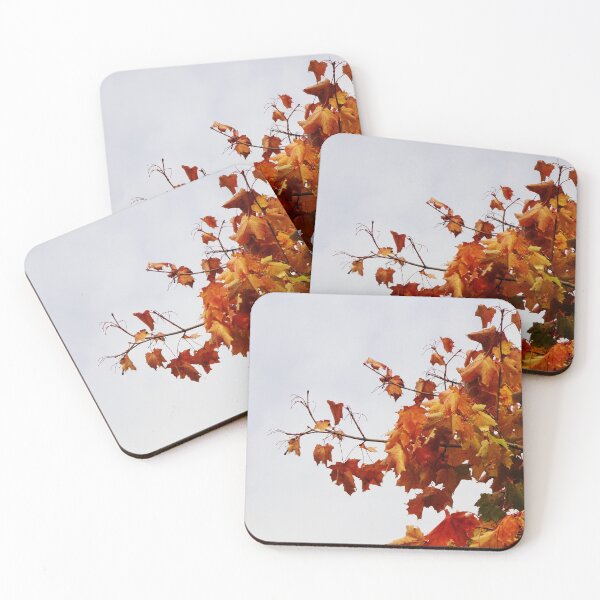 Item preview, Bright coloured maple leaves in autumn designed and sold by riku05830.