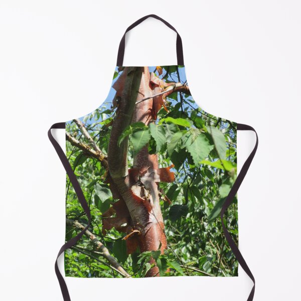 Item preview, Acer griseum - Paperbark Maple designed and sold by lezvee.