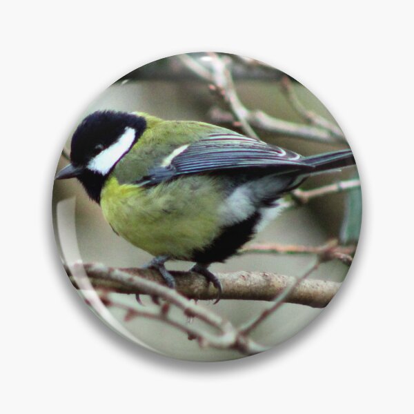 Item preview, Great tit designed and sold by KathleenDawson.