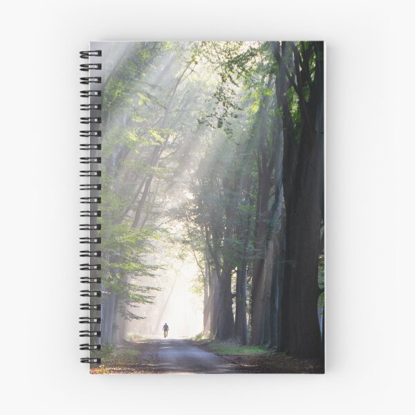 Item preview, Cycling in mystical light designed and sold by jchanders.