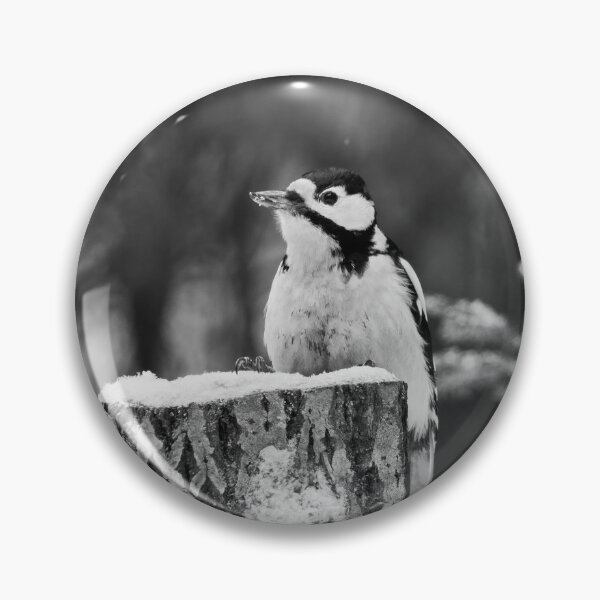 Artikelvorschau, Top-Aufnahme sw. Buntspecht entworfen und verkauft von Jouko Lehto Photography.