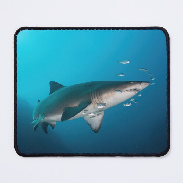Item preview, Grey Nurse (Sand Tiger) Shark at North Stradbroke Island designed and sold by slonchak.