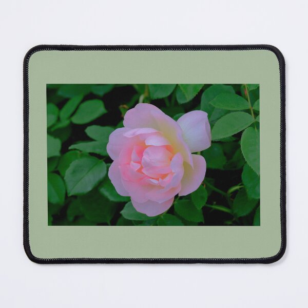 Item preview, nat33 designed and sold by ° Salvan design °.