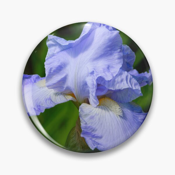 Item preview, Purple Iris - Iris Versicolor designed and sold by Dorset Girl.