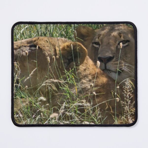 Item preview, Teamwork all round designed and sold by annenambiro.