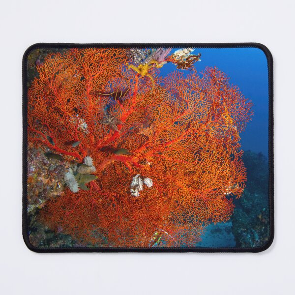 Item preview, Red Fan Coral designed and sold by slonchak.