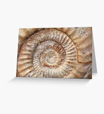Ammonite Greeting Card