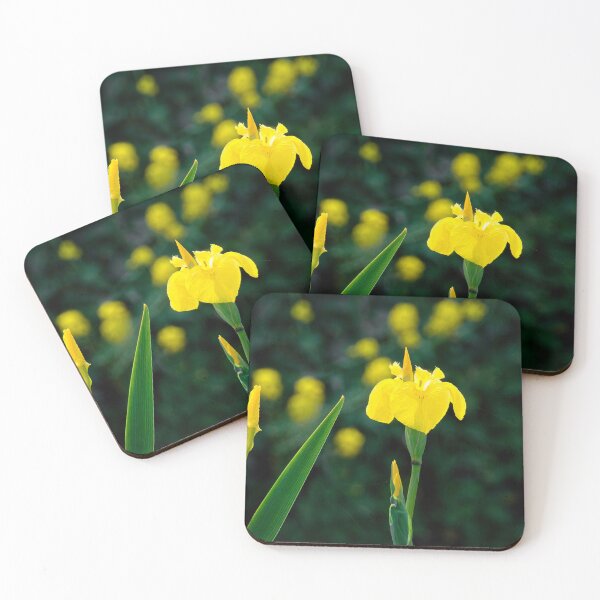 Item preview, Yellow Flag Iris - Iris Pseudacorus designed and sold by Dorset Girl.