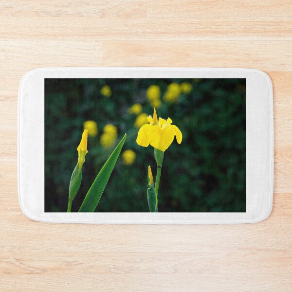 Item preview, Yellow Flag Iris - Iris Pseudacorus designed and sold by Dorset Girl.