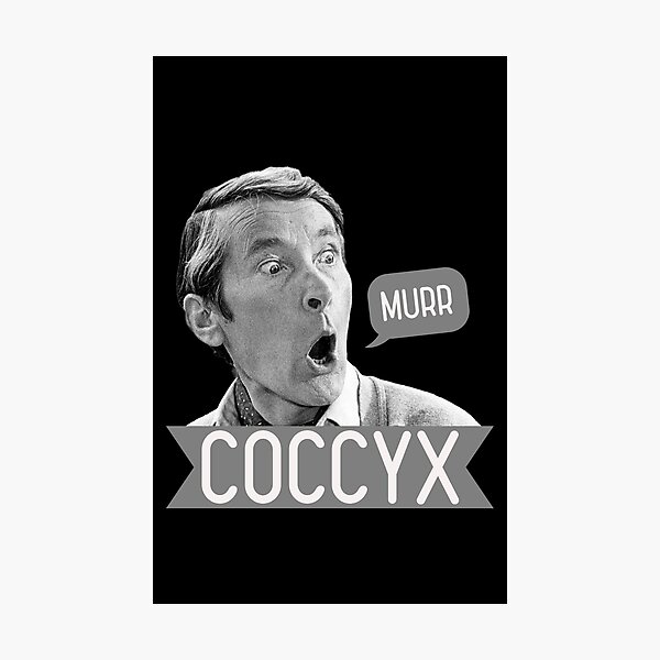 Item preview, Cóccix Murr designed and sold by ClanRaeDesign.