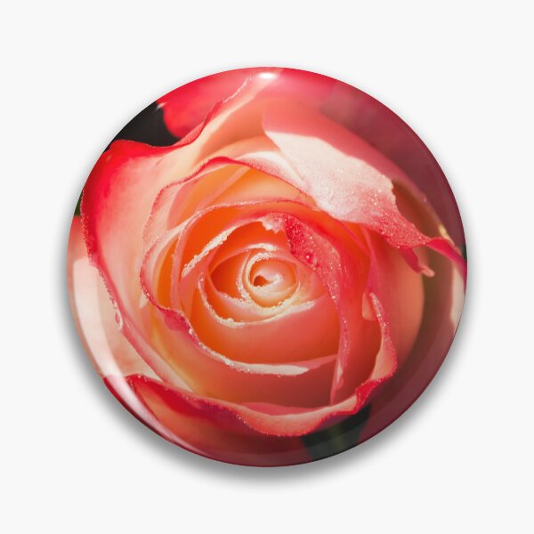 Item preview, Lovely Bicolor Rose Bud with Raindrops designed and sold by Georgia Mizuleva.