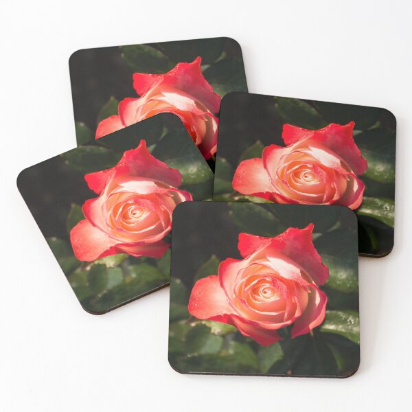 Item preview, Lovely Bicolor Rose Bud with Raindrops designed and sold by Georgia Mizuleva.