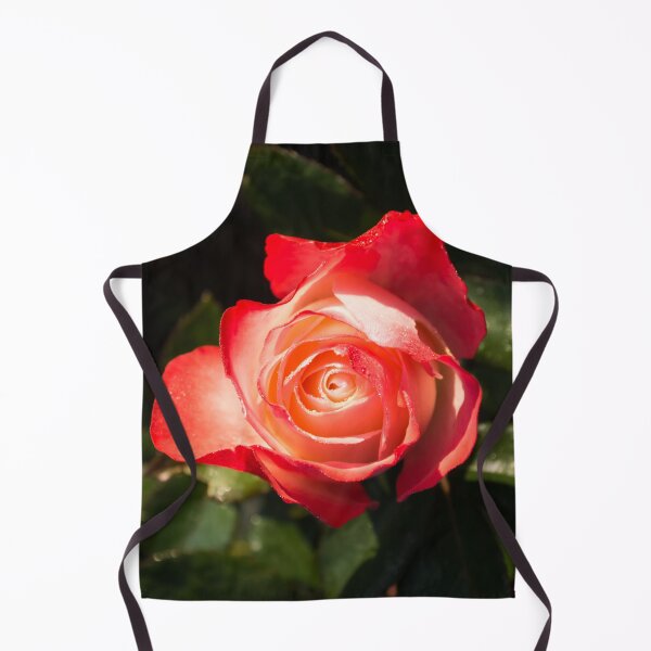 Item preview, Lovely Bicolor Rose Bud with Raindrops designed and sold by Georgia Mizuleva.