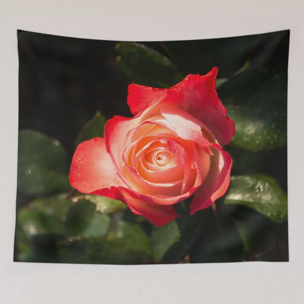Item preview, Lovely Bicolor Rose Bud with Raindrops designed and sold by Georgia Mizuleva.