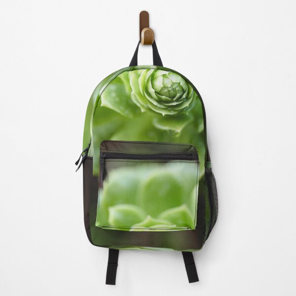Item preview, Nature Geometry Aeonium Succulent designed and sold by PhotosByVille.