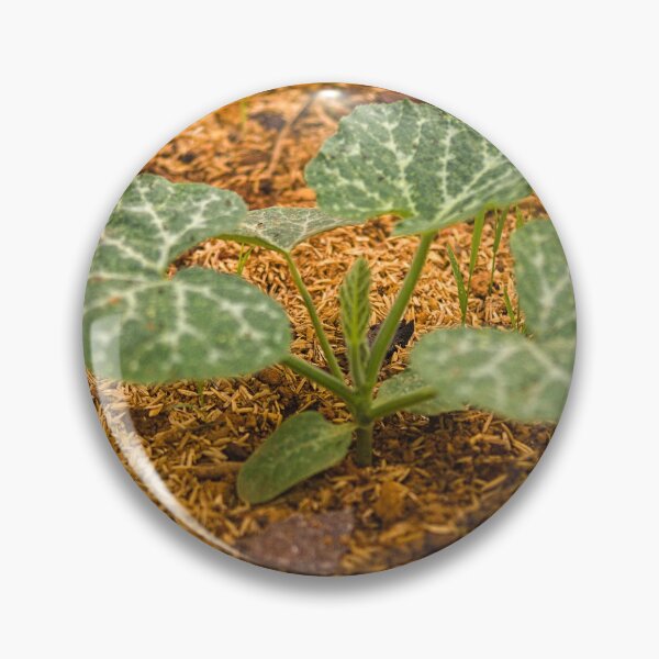 Item preview, lla melon designed and sold by pcfyi.