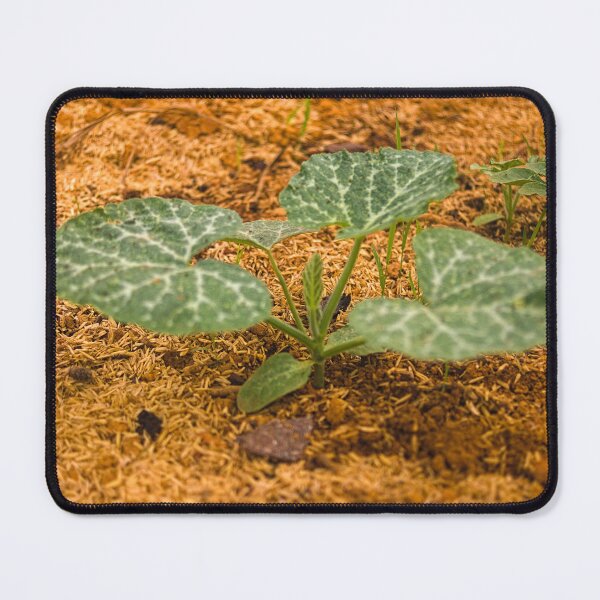 Item preview, lla melon designed and sold by pcfyi.
