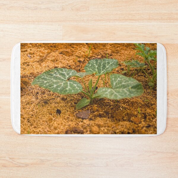 Item preview, lla melon designed and sold by pcfyi.