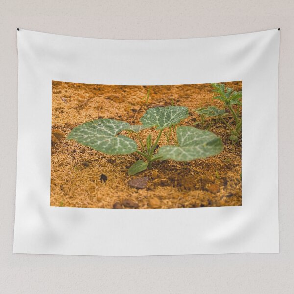 Item preview, lla melon designed and sold by pcfyi.