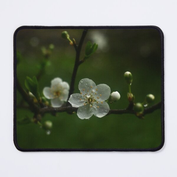 Item preview, White blossom designed and sold by A.N.J.H..