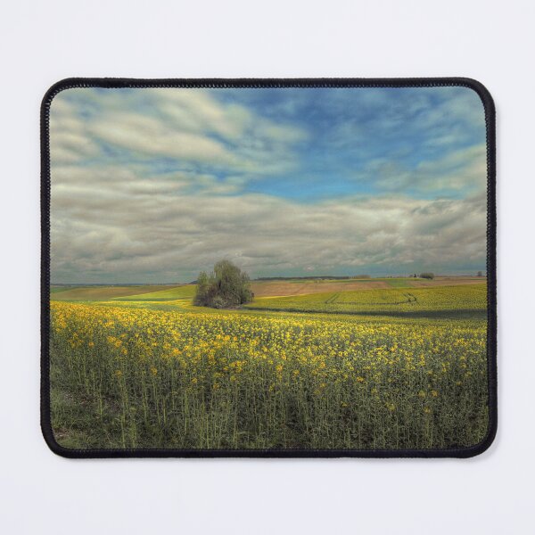 Item preview, Rapeseed field near Gesseltshausen designed and sold by fotoromantik.