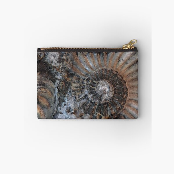 Item preview, Ammonites designed and sold by Zosimus.