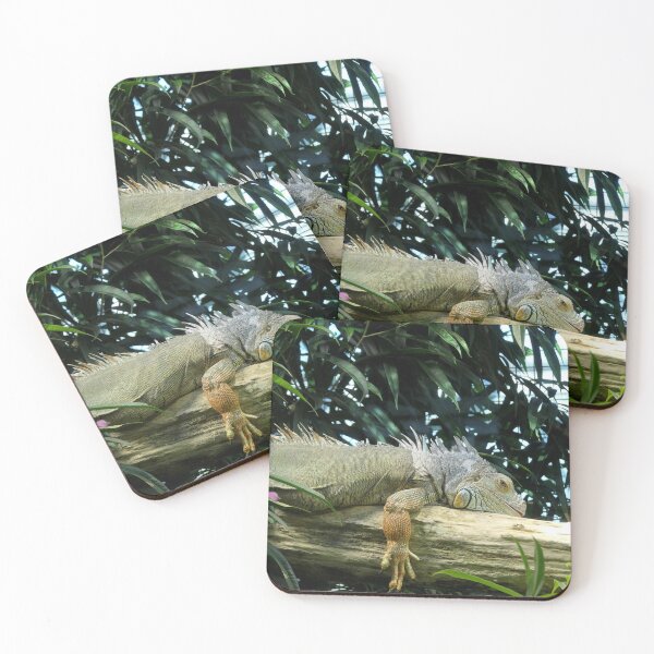 Item preview, Relaxing green iguana designed and sold by ChicVoyagePics.